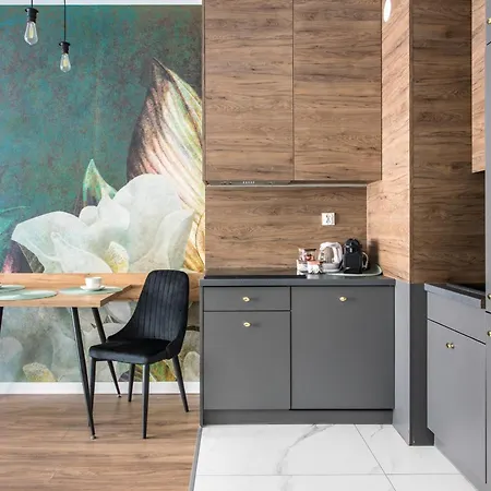 Renttogo - Bulwar Staromiejski *