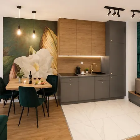 Renttogo - Bulwar Staromiejski Apartment *